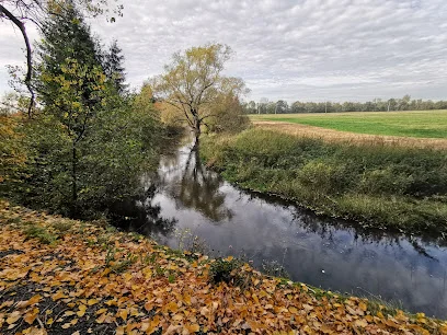Nysa Szalona (rzeka)