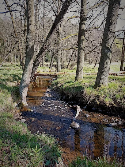 Wąwóz Siedmicki